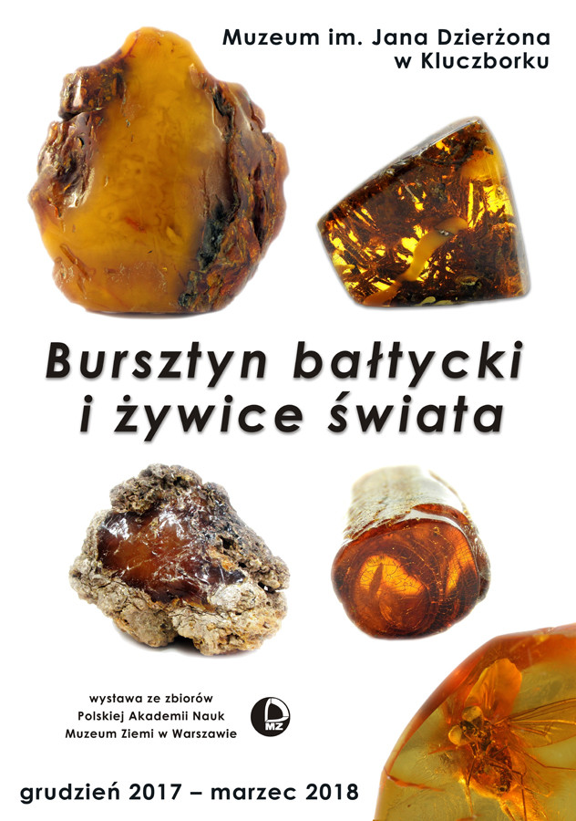 Bursztyn bałtycki i żywice świata - plakat wystawy