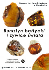 Bursztyn bałtycki - plakat