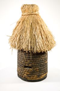 Ul kopulasty