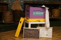 Otwarty ul edukacyjny - obok ramki z planszami edukacyjnymi przedstawiającymi pszczeli plaster