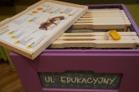 Otwarty ul edukacyjny - widok z góry na plastry, tablice edukacyjne