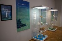 Fragment ekspozycji, widoczne plansze i gabloty z m.in. szczękami rekina i rafą koralową
