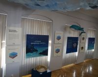 Fragment ekspozycji przedstawiający postument z dużym amonitem oraz wiszące plansze