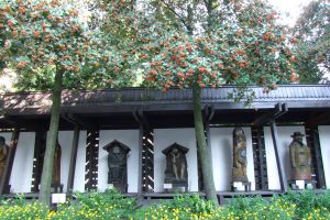 Pawilon przy budynku muzeum