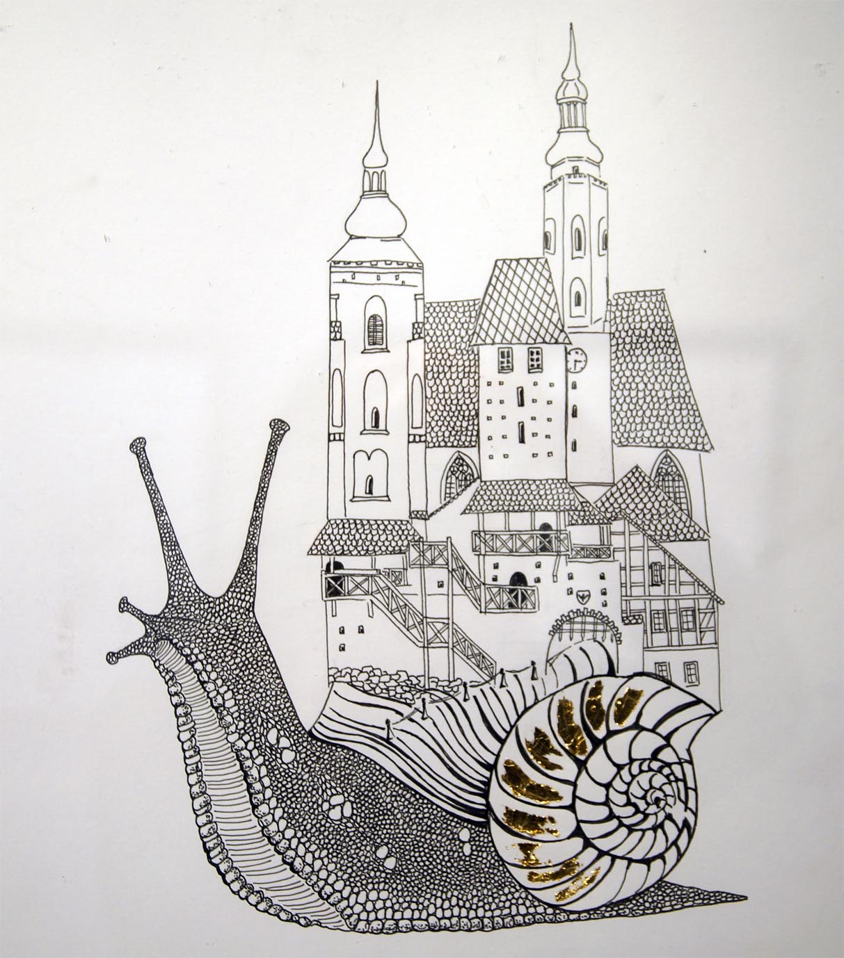 Animalium Opolszczyzny - 30.11.2025 finisaż!