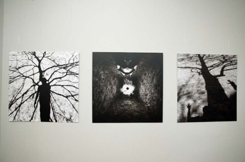 Fragment ekspozycji - na ścianie zawieszony cykl czarno-białych fotografii, m.in.  z motywem cienia drzewa